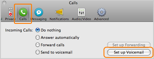 Options screen with Voicemail highlighted on left